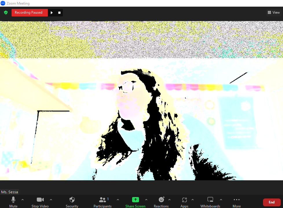 Zoom Camera issues Lines through Zoom camera and other weird glitching PALCS HelpDesk