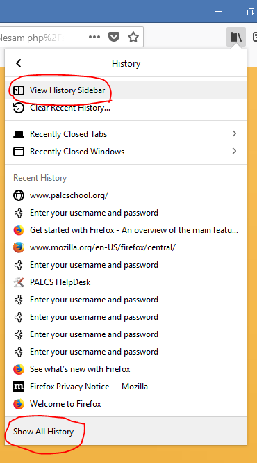 view browser history firefox